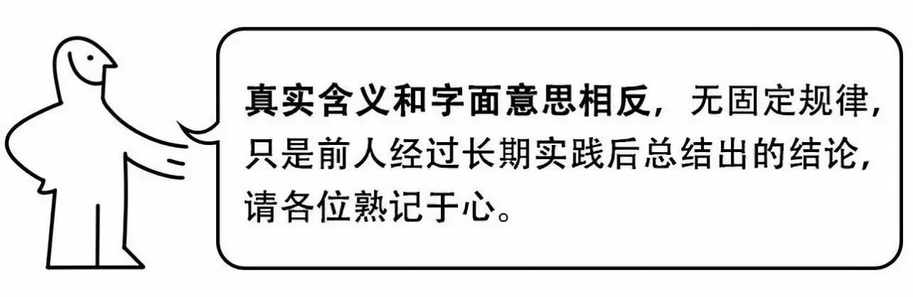 成人世界黑话鉴定指南